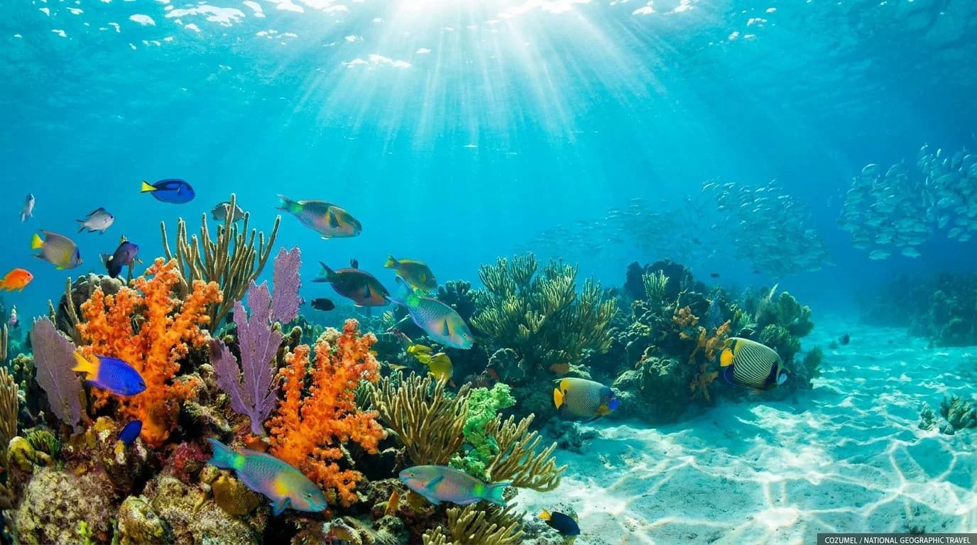 Destino: Cozumel